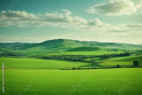 beautiful natural scenery of green fields with clear sky