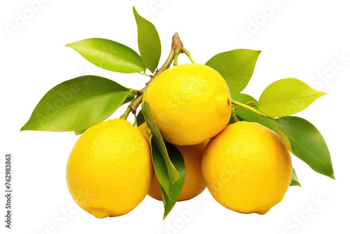 Group of Lemons With Green Leaves on White Background. On a White or Clear Surface PNG Transparent Background..