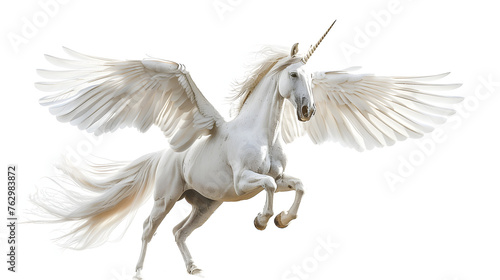 White flying horned horse isolated on transparent background