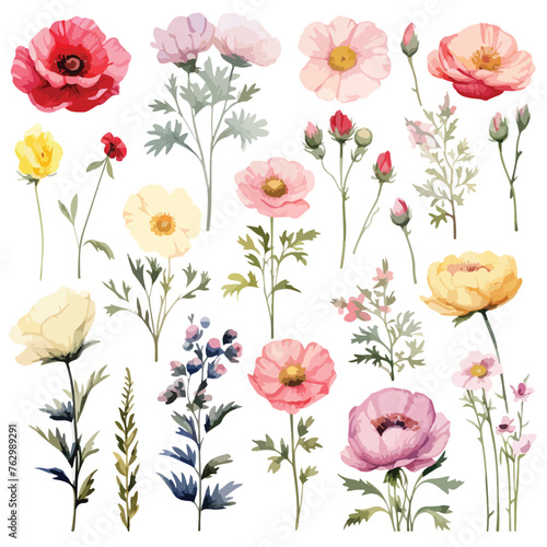 Botanical Flower Clipart clipart isolated on white background