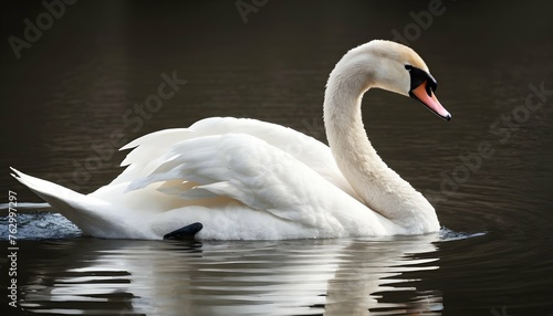 A Swan With Its Feathers Sleek And Shiny Gliding Upscaled 3