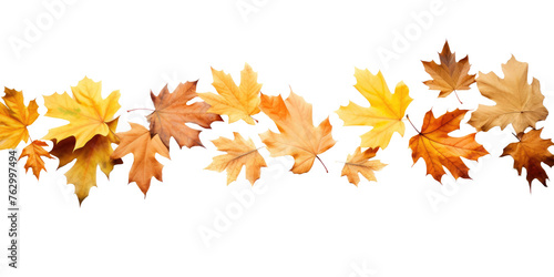 levitation of maple and oak autumn leaves on white isolated background