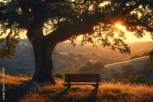 a bench under a tree in a field