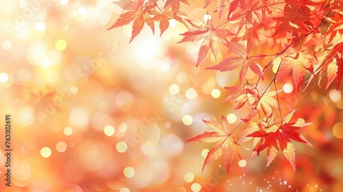 Autumn season with red and yellow maple leaves with soft focus light and bokeh background