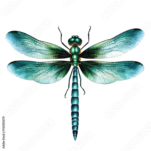 Dragonfly Clipart clipart isolated on white background