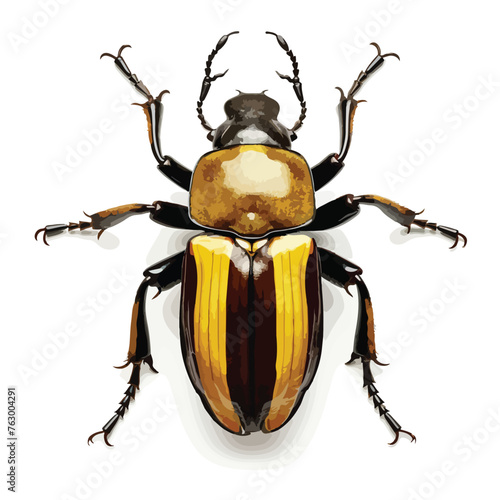 Eastern Hercules Beetle clipart isolated on white background