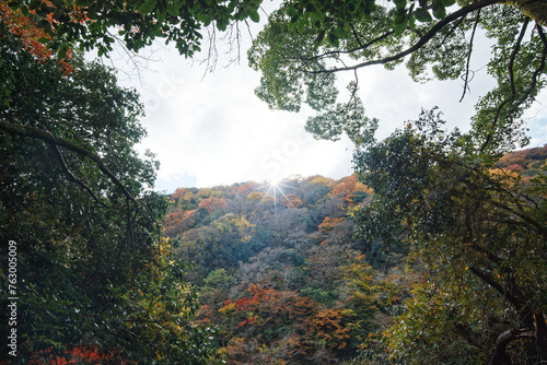 Arashiyama in Autumn in Kyoto  Japan