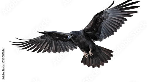 eagle in flight isolated on transparent background