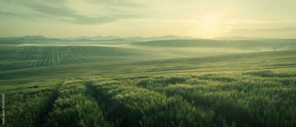 Whispering fields: Endless peaceful fields under a clear sky, where the wind whispers stories of calm and ease Whispering fields: Endless peaceful fields under a clear sky, where the wind whispers stories of calm and ease