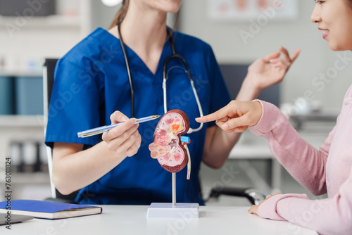 Quadro su tela Kidney disease, Chronic kidney disease ckd, Female doctor explains the causes of the disease and treatment guidelines on kidney model to female asian patient at desk at urology hospital room