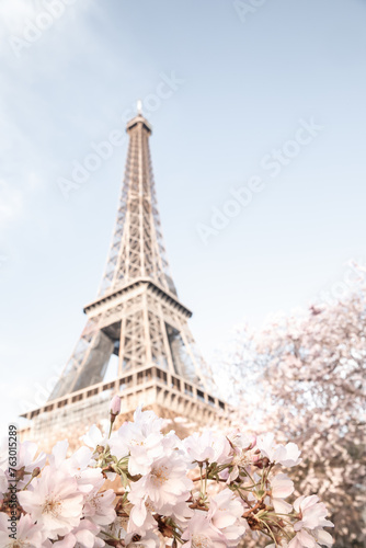 Fototapeta Naklejka Na Ścianę i Meble -  Eiffel tower. Blooming sakura tree