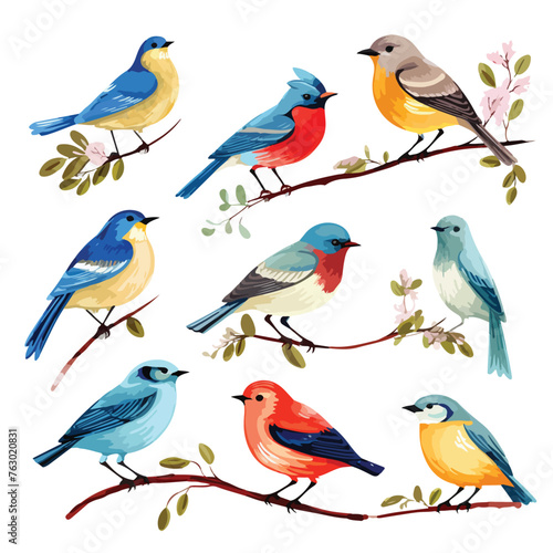 Lovely birds clipart clipart isolated on white background