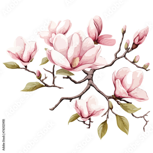 Magnolia Branches Clipart clipart isolated on white background