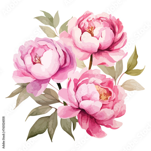 Peonies Watercolor Clipart clipart isolated on white