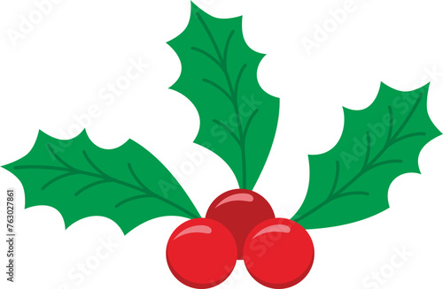 Christmas Holly Berries