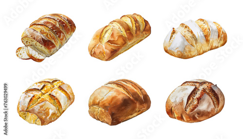 Watercolor set of bread.Bread watercolor icon wheat food product. Various loaves of fresh bread png. Vector illustration.