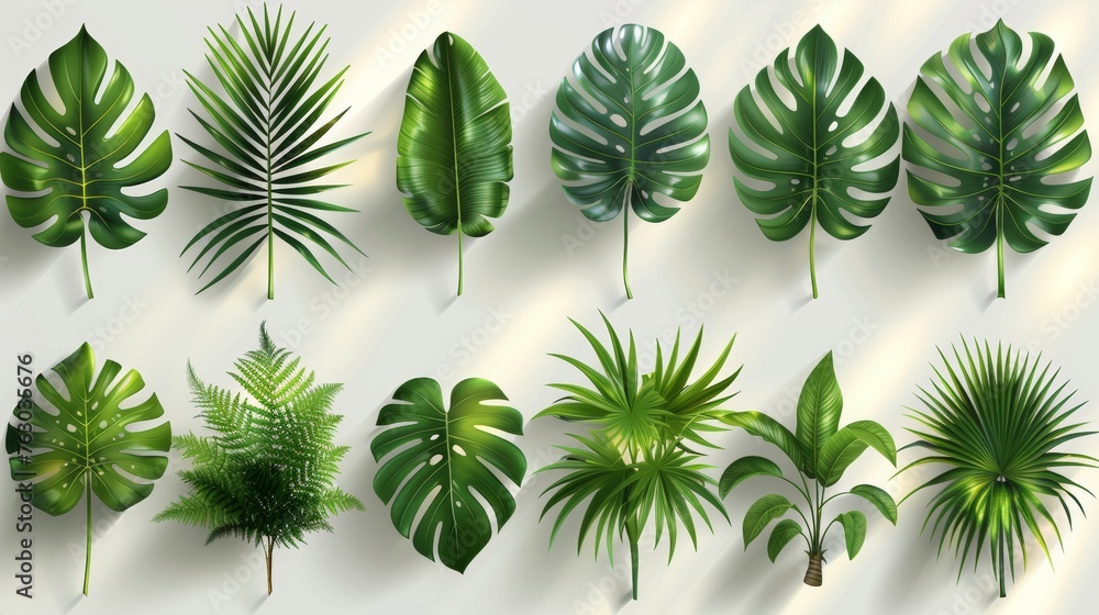 Shadow layer overlays set. Realistic shadow mock ups. Transparent shadow of tropical leaves. Modern illustration.