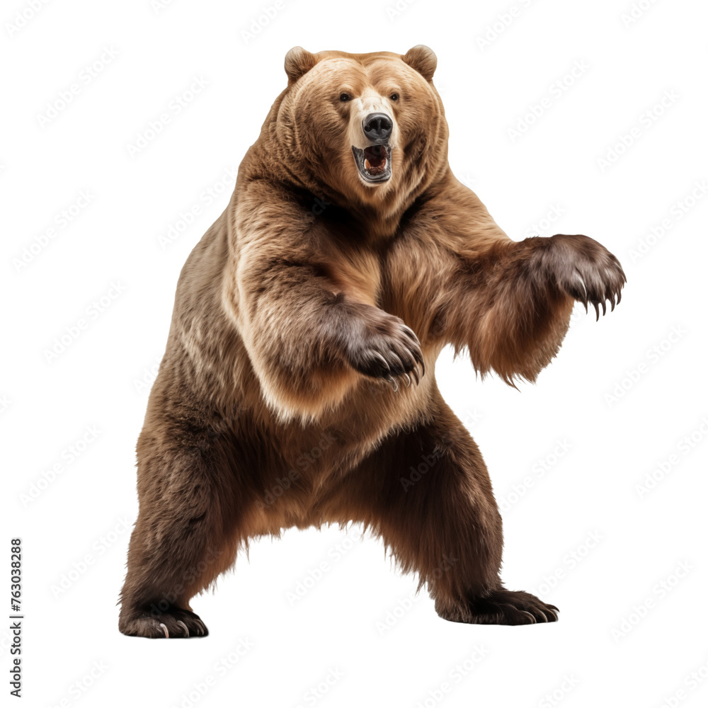 Obraz premium Aggressive brown bear in epic pose isolated on transparent and white background. Ideal for use in advertising. Generative ai