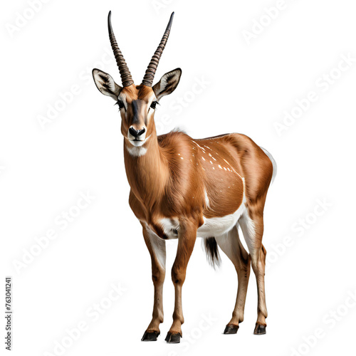 antelope isolated transparent background PNG. ai generated