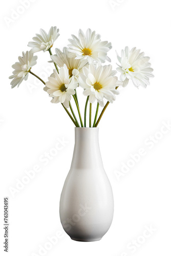 daisies in vase, png isolated © Stelena