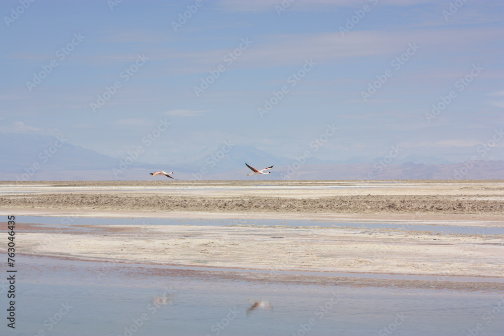 volcanic landscape in Atacama, Atacama Desert volcanic landscape in Atacama, Atacama Desert