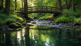 A wooden bridge over a small river in a forest

