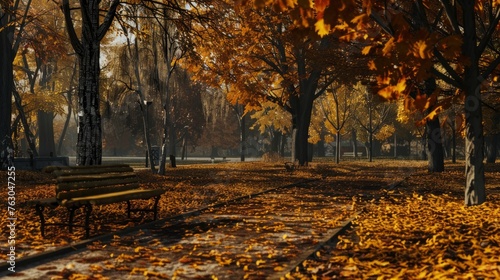 Male Black Gold Hovie Autumn Park, Banner Image For Website, Background, Desktop Wallpaper