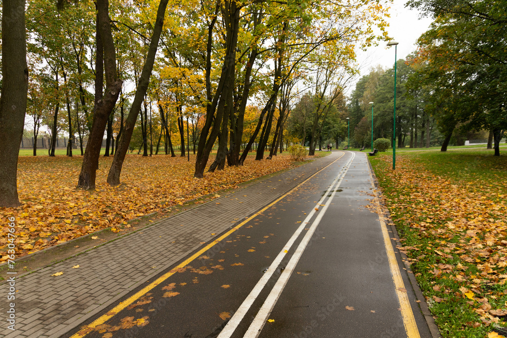 Walking and cycling path in the autumn park.