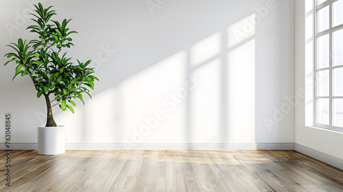 Minimalist interior design of an empty room with a white wall and wooden floor  green plants in pots on the side. Simple and clean interior with bright natural light from a window. Copy space.