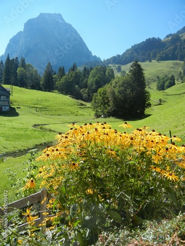 Wanderparadies, Berglandschaft mit Blumen