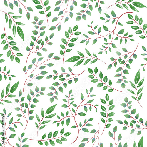 Green leaves pattern on a white background. botanical hand drawn illustration.
