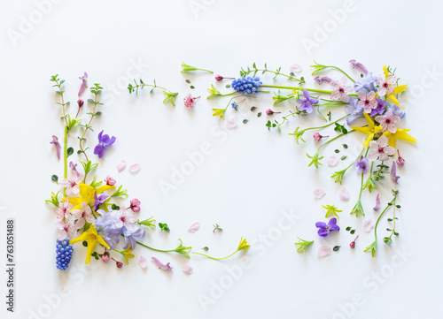 wild spring flowers on white paper background