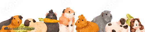Cute guinea pigs border. Funny cavies, long banner. Adorable little rodent pe...