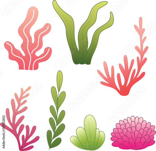 Set of seaweed, coral illustration