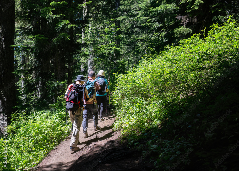 Naklejka premium Three people hiking Summit Lake Trail at Mount Rainier National Park in summer. Washington State.