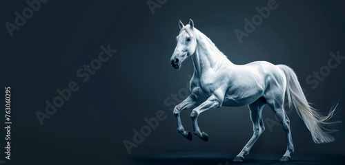 A dynamic white horse in mid-gallop against a moody, dark background, full of power and grace.