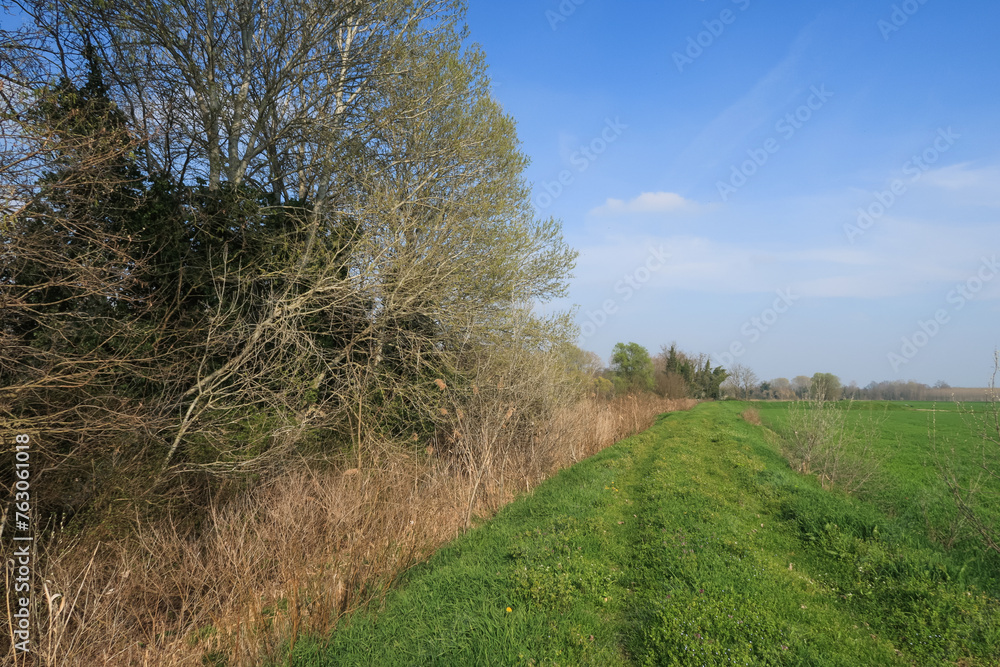 Po Valley landscape landscape fields crops natural Po Valley landscape landscape fields crops natural