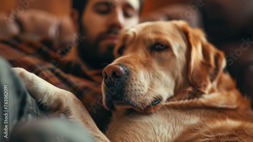 Close up of a dog resting on a man's lap, suitable for pet care concepts
