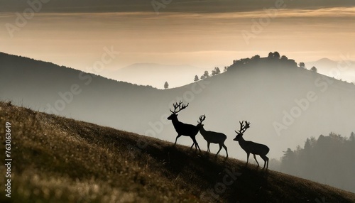 Silhoutte of deers walking through the hill  nature  forest  woods 