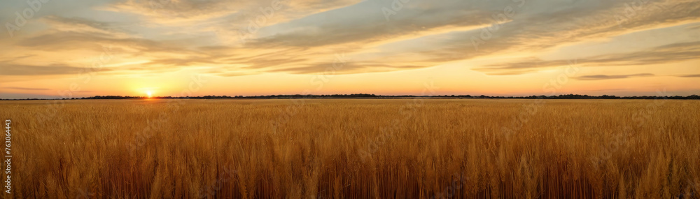 Tranquility of a vast wheat field at sunset, with the warm tones of the sky