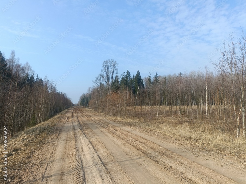 Road in forest in Siauliai county during cloudy early spring day. Oak and birch tree woodland. cloudy day with white clouds in blue sky. Bushes are growing in woods. Sandy road. Nature. Miskas. Road in forest in Siauliai county during cloudy early spring day. Oak and birch tree woodland. cloudy day with white clouds in blue sky. Bushes are growing in woods. Sandy road. Nature. Miskas.