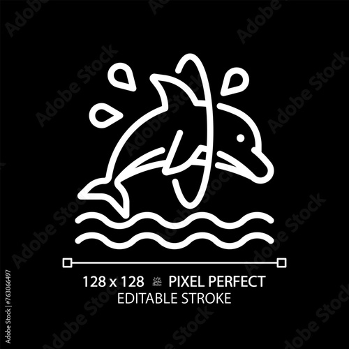 Dolphin trick pixel perfect white linear icon for dark theme. Jumping through hoop. Dolphinarium show. Acrobatic entertainment. Thin line illustration. Isolated symbol for night mode. Editable stroke