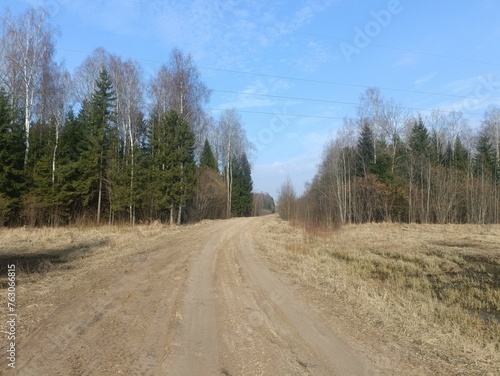 Road in forest in Siauliai county during cloudy early spring day. Oak and birch tree woodland. cloudy day with white clouds in blue sky. Bushes are growing in woods. Sandy road. Nature. Miskas. 