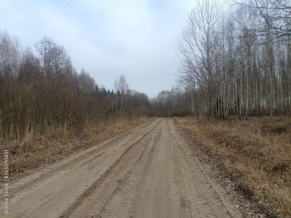 Road in forest in Siauliai county during cloudy early spring day. Oak and birch tree woodland. cloudy day with white clouds in blue sky. Bushes are growing in woods. Sandy road. Nature. Miskas. Road in forest in Siauliai county during cloudy early spring day. Oak and birch tree woodland. cloudy day with white clouds in blue sky. Bushes are growing in woods. Sandy road. Nature. Miskas.