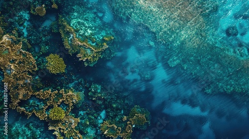 Aerial view of a vibrant coral reef submerged in crystal-clear blue waters