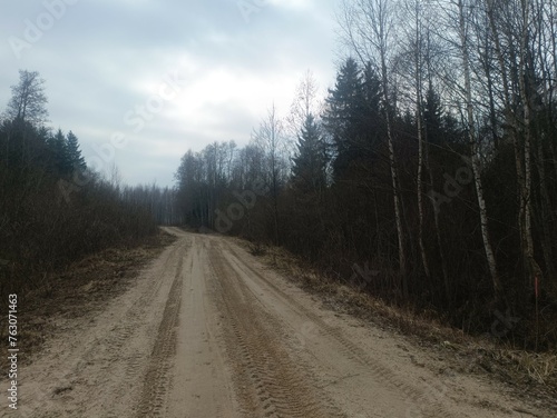 Road in forest in Siauliai county during cloudy early spring day. Oak and birch tree woodland. cloudy day with white clouds in blue sky. Bushes are growing in woods. Sandy road. Nature. Miskas.  © Mindaugas
