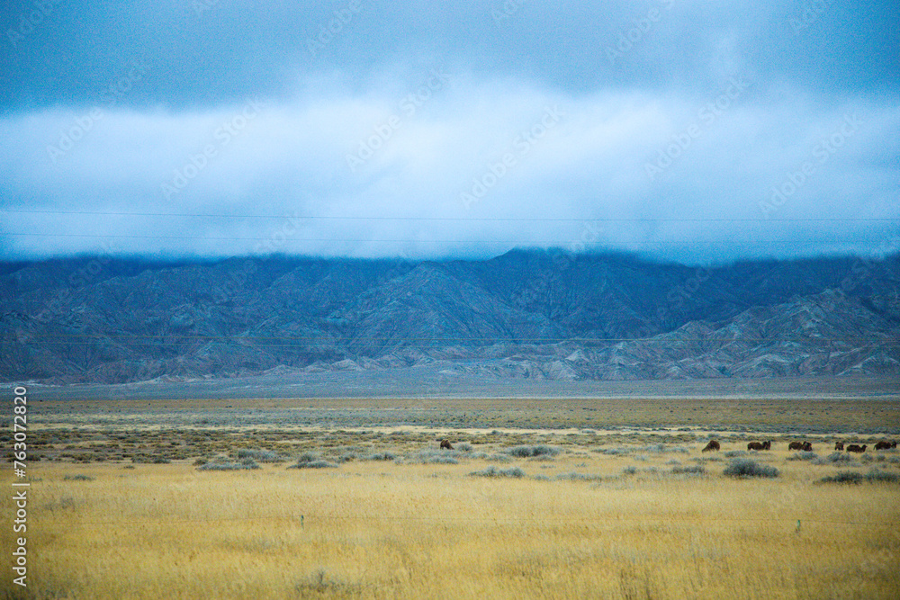 Hainan Mongolian and Tibetan Autonomous Prefecture, Qinghai Province-Grasslands and roads under the snow-capped mountains Hainan Mongolian and Tibetan Autonomous Prefecture, Qinghai Province-Grasslands and roads under the snow-capped mountains