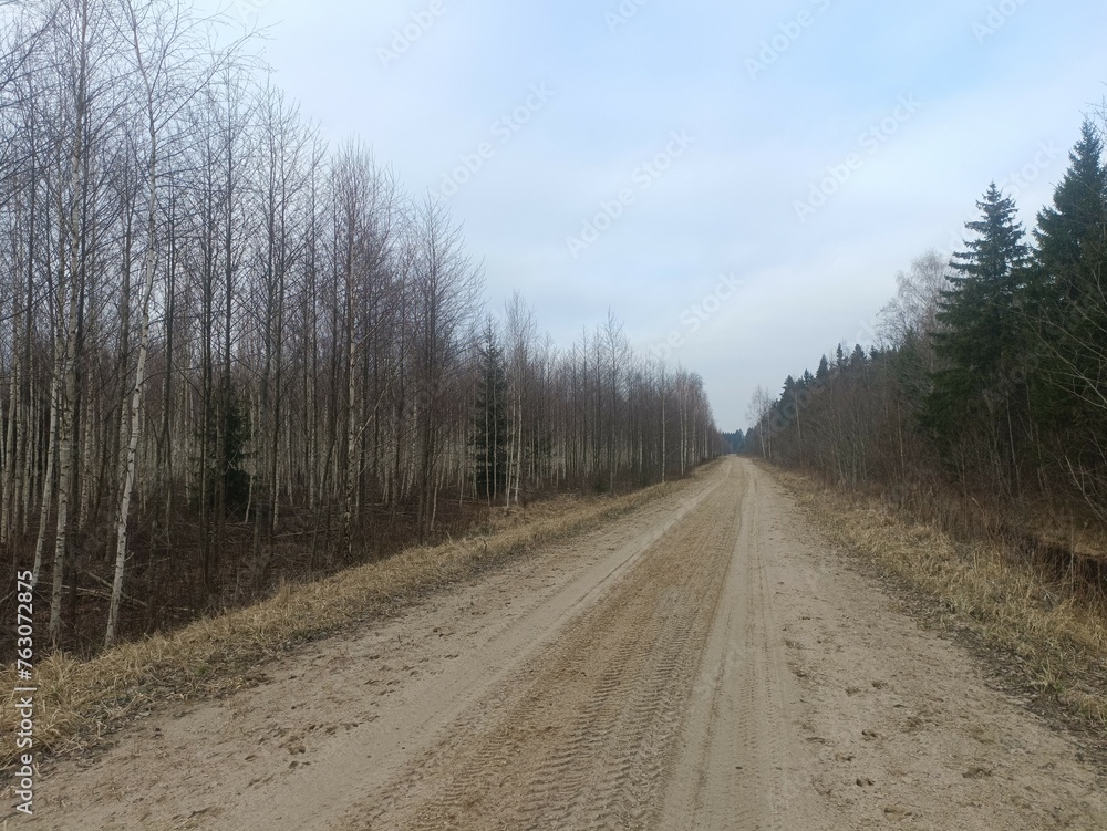 Road in forest in Siauliai county during cloudy early spring day. Oak and birch tree woodland. cloudy day with white clouds in blue sky. Bushes are growing in woods. Sandy road. Nature. Miskas.	