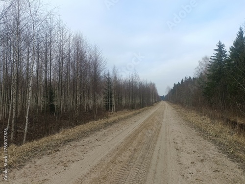 Road in forest in Siauliai county during cloudy early spring day. Oak and birch tree woodland. cloudy day with white clouds in blue sky. Bushes are growing in woods. Sandy road. Nature. Miskas. 