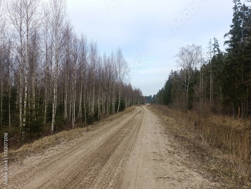 Road in forest in Siauliai county during cloudy early spring day. Oak and birch tree woodland. cloudy day with white clouds in blue sky. Bushes are growing in woods. Sandy road. Nature. Miskas. 